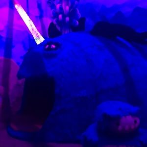 Meet your Posher, Antonia